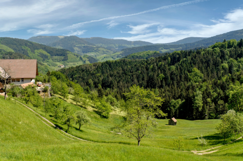Ein Ferienhaus in einer grünen Berglandschaft, umgeben von Wald und Wiesen, ideal für Naturliebhaber.