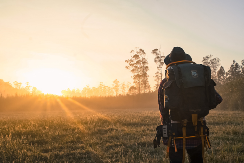 Ein Wanderer genießt den Sonnenaufgang in einer weiten, grünen Landschaft, ideal für Outdoor-Abenteuer.